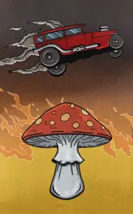 Toadstool Burnout