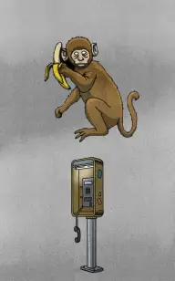 My Monkey Never Called