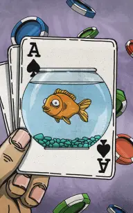 Aces and Goldfish