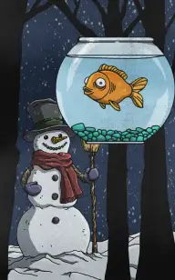 A Frosty Fish