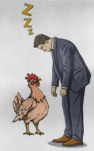 Bird Sleeping on the Job