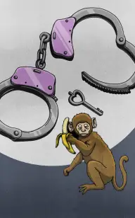 Naughty Monkey