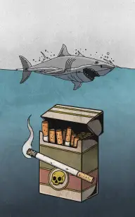 Cigarette Shark Bait