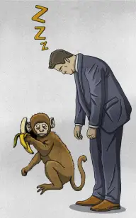 Ape Sleeping on the Job