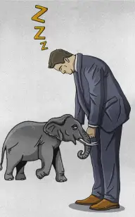 Elephant Sleepwalking