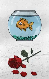 My Goldfish's Only Regret
