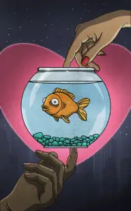The Goldfish Between Love