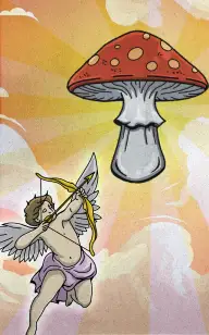 Will Love Find the Toadstool?