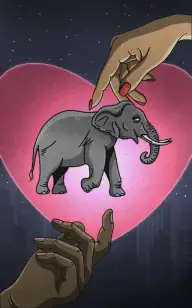 The Elephant Between Love