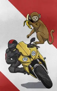 Two Wheels, One Monkey