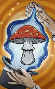 Ta-Da! Here's the Shroom!