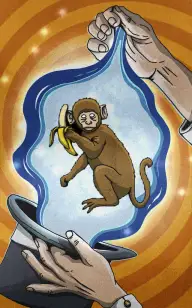 Monkey in the Hat