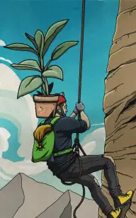 Flower on Top of the World