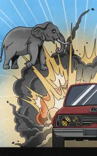 The Mammal Ignition Point