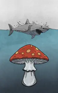 The Toadstool, Monster of the Sea