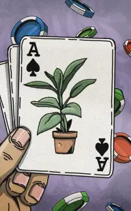 Aces and Plant
