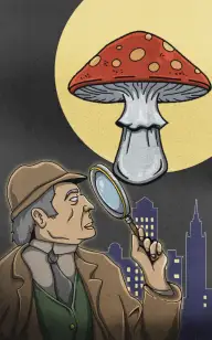 Dead Shroom Investigation