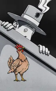 Rooster Away From Death