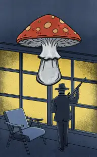 Late Night Toadstool Hunting