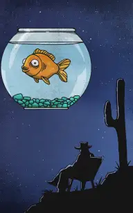 Fish Bowl Stargazing