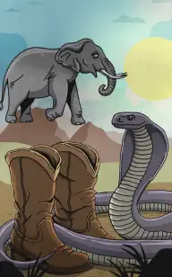 Buck's Mammal-Skin Boots