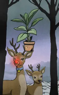 The Plant's Light in the Snow