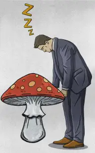 Sleepy Shroom