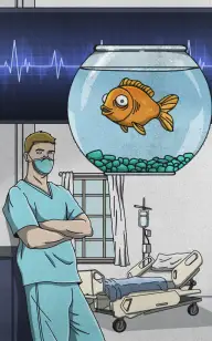 Dr. Lane's Chosen Fish Bowl