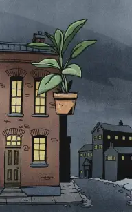 Late Nights with My Flower