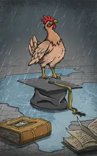 The Chicken Dropout