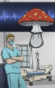 Shroom Emergency Room