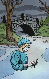 The Bridge Beyond the Doctor