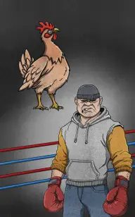 Rooster Boxing