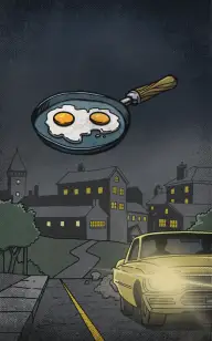 The Sad Egg Passenger