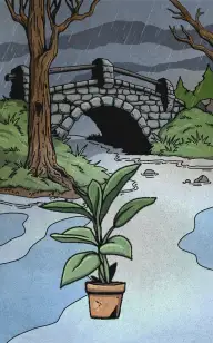 The Flower Under the Bridge