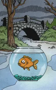 The Fish Bowl on the Bridge