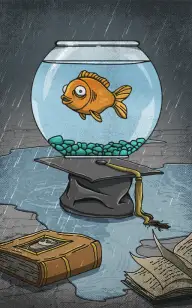 The Goldfish Dropout