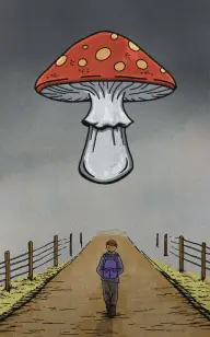 The Toadstool's Long Way Home