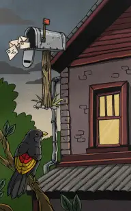 The Mailman's Perfect Sunset