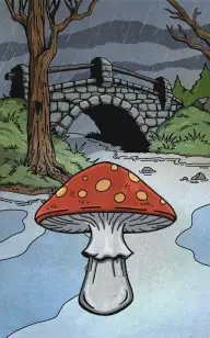 The Shroom Under the Bridge