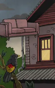 The Couch's Perfect Sunset