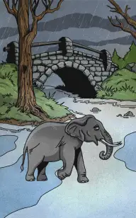 Where the Elephant Waits