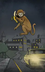 Midnight Monkey Drive