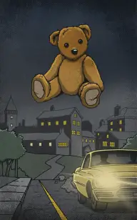 The Sad Teddy Bear Passenger