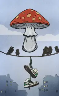 Letting Our Shroom Go