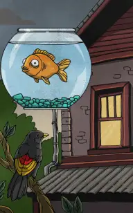 The Goldfish's Last Day Home