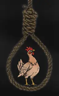 The Chicken's Time has Come