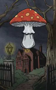 The Toadstool Knocking at Midnight