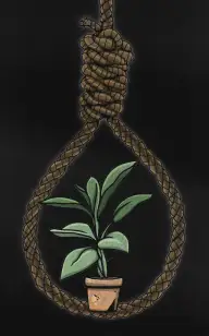 Plant Pot on Death Row