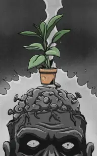 Plant Brain Implants